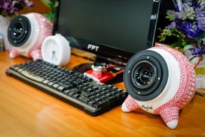 Loa gom MayBelle Solo tot